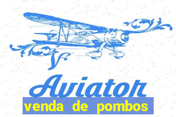 venda de pombos correios olx